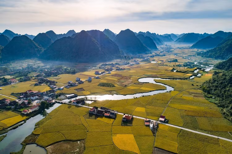 Tháng 7 và tháng 11 hàng năm là thời điểm thung lũng Bắc Sơn bắt đầu vào mùa lúa chín. Nguồn: Thanh Dat