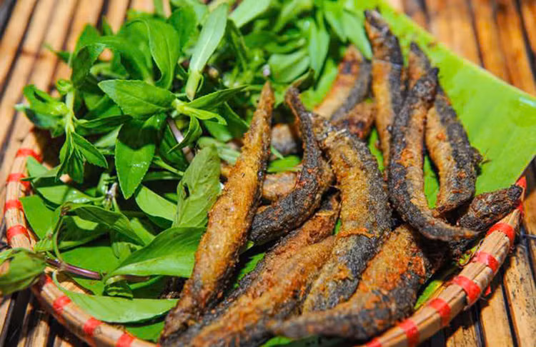 Tăng sắt, bổ máu: Cá chạch rất giàu protein và các nguyên tố sắt, rất hữu ích cho những bệnh nhân bị thiếu máu do thiếu sắt.