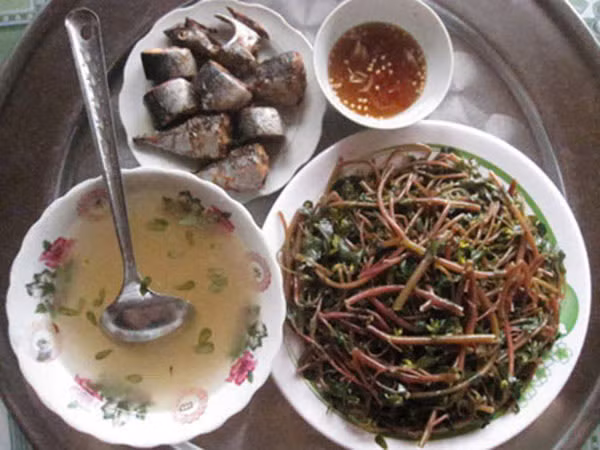 Tốt cho tim mạch: Rau sam là một nguồn cung cấp dồi dào omega-3 và kali, hai thành phần quan trọng để duy trì sức khỏe tim mạch. Omega-3 giúp điều chỉnh hàm lượng cholesterol trong máu và giảm nguy cơ mắc các bệnh tim mạch. Kali có tác dụng giúp ổn định huyết áp và giảm nguy cơ rối loạn nhịp tim. Ảnh minh họa