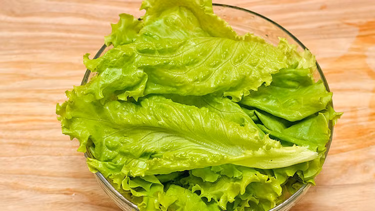 Những người không nên ăn rau xà lách Những người không nên ăn rau xà lách