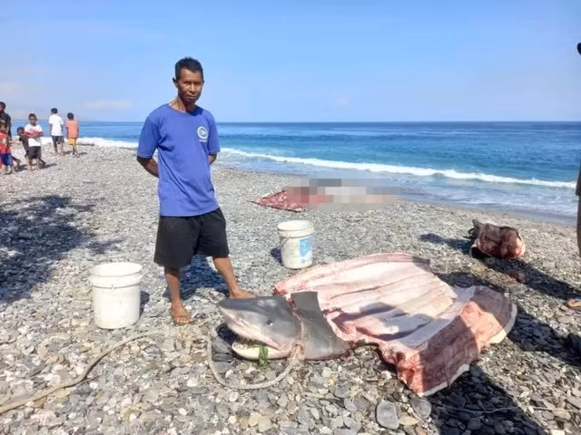 Mổ bụng 'thủy quái', kinh hoàng phát hiện thứ màu đen - Hình 2 Mo bung 'thuy quai', kinh hoang phat hien thu mau den-Hinh-2