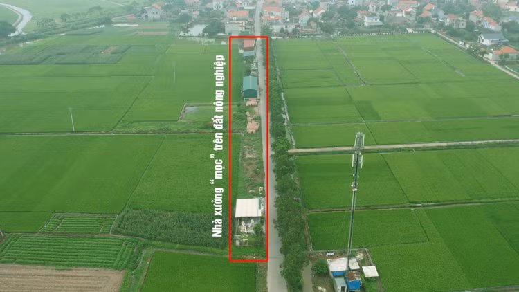Đường liên thôn (Đường TL281) nối giữa thôn Lôi Châu và thôn Cáp Thuỷ. Đường liên thôn (Đường TL281) nối giữa thôn Lôi Châu và thôn Cáp Thuỷ.