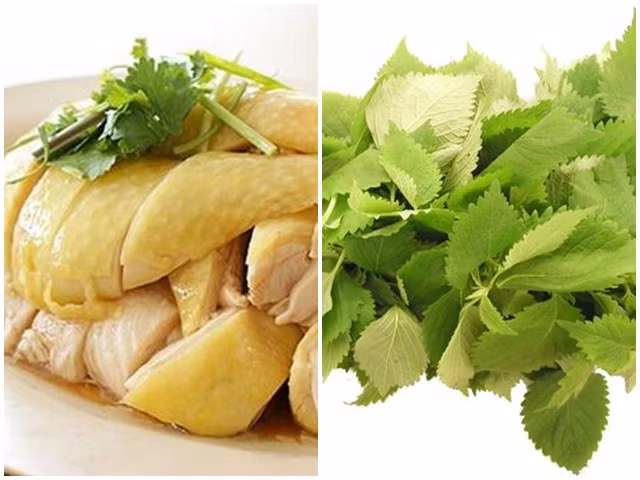 Ảnh minh hoạ Ảnh minh hoạ