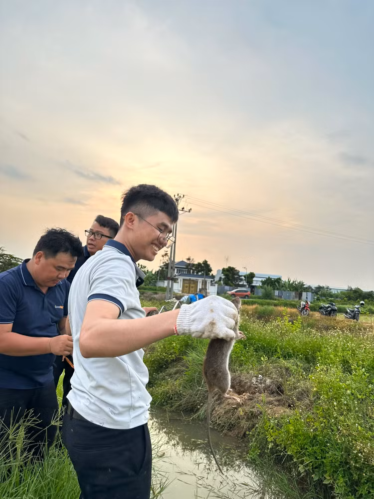 Tóm gọn chuột từ súng phun khói