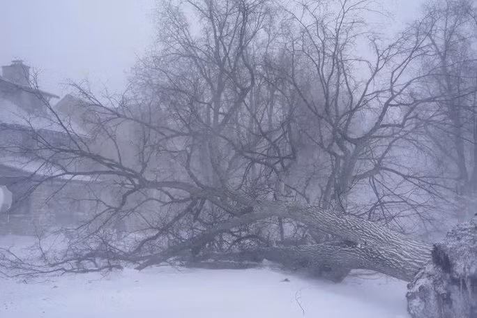 Bão tuyết gây hậu quả nghiêm trọng ở nhiều nơi trên thế giới ảnh 1 Bão tuyết gây hậu quả nghiêm trọng ở nhiều nơi trên thế giới ảnh 1