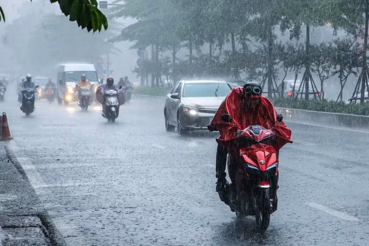 Ảnh minh họa Ảnh minh họa