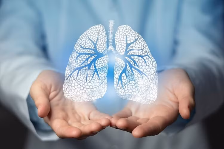 Bảo vệ lá phổi thời tiết lạnh. Ảnh minh họa