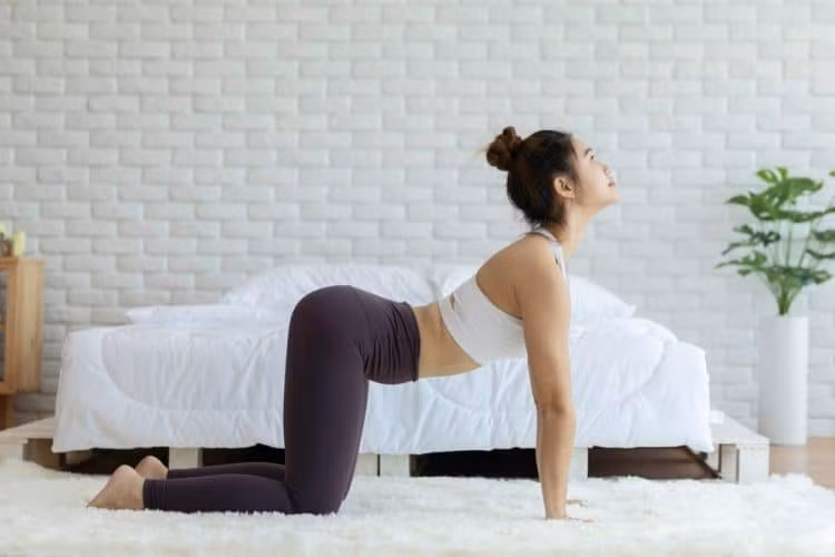 Tư thế mèo - bò cải thiện tình trạng béo bụng hiệu quả. Ảnh minh họa Tư thế mèo - bò cải thiện tình trạng béo bụng hiệu quả. Ảnh minh họa