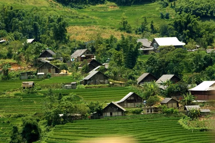 Ảnh Internet