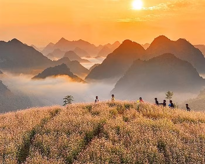 Hà Giang - Mùa đất đá nở hoa. Ảnh dulich