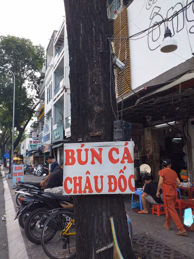Cây xanh đô thị cần được chăm sóc, bảo vệ nghiêm ngặt ảnh 1