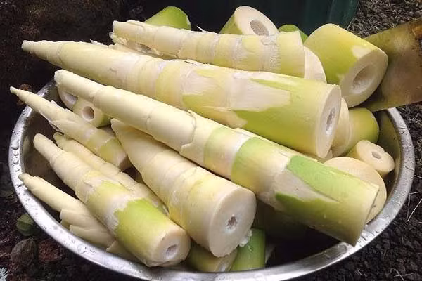 Ảnh minh họa Ảnh minh họa