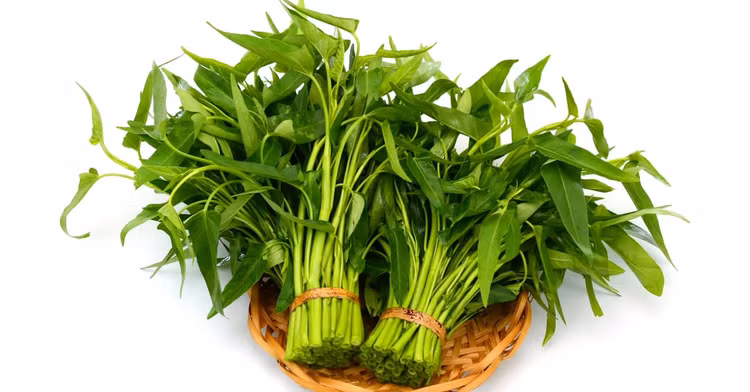 Ảnh minh họa Ảnh minh họa