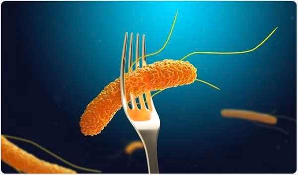 Vi khuẩn Salmonella là 1 trong 4 nguyên nhân chính gây ra bệnh tiêu chảy trên toàn cầu. Ảnh minh họa