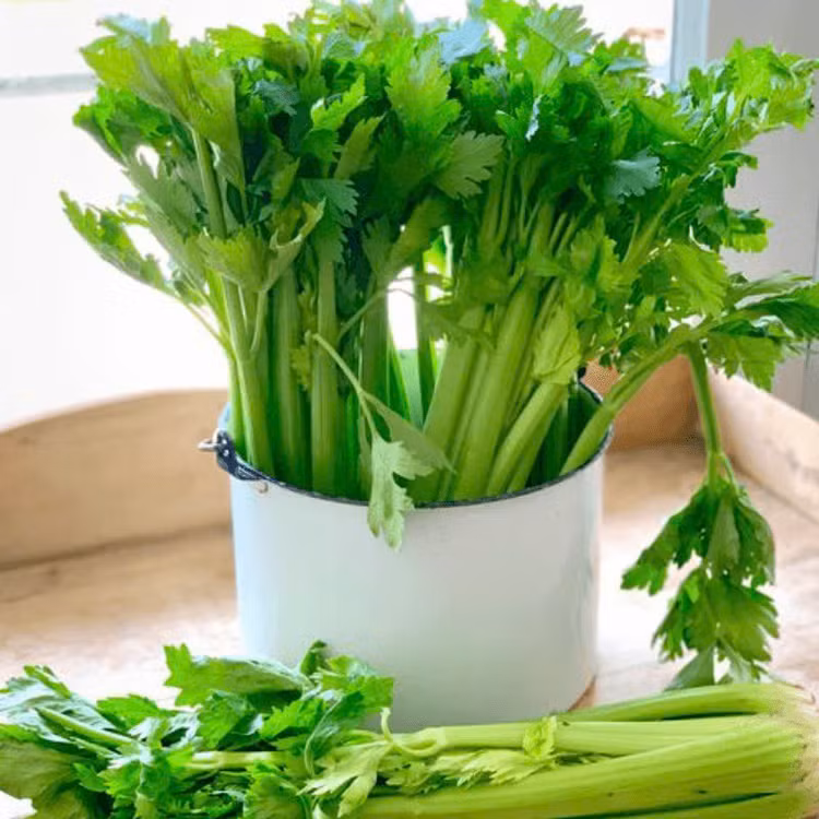 Ảnh minh họa Ảnh minh họa