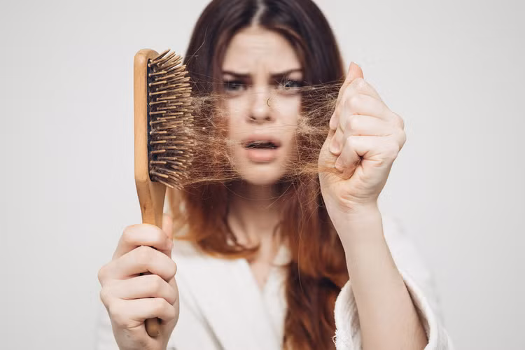 Rụng tóc báo hiệu điều gì về sức khỏe?. Ảnh minh họa Rụng tóc báo hiệu điều gì về sức khỏe?. Ảnh minh họa