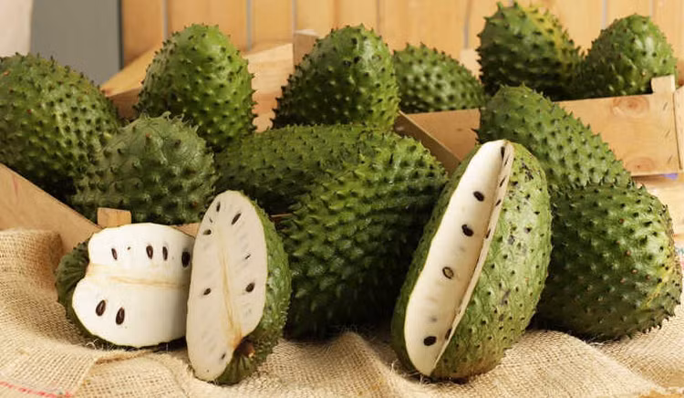 Ảnh minh họa Ảnh minh họa