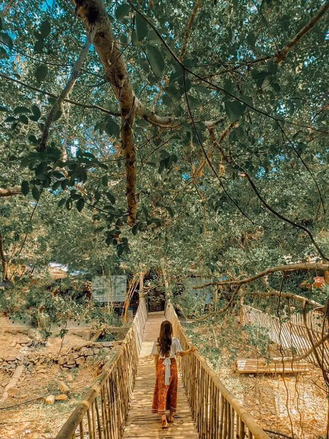 Cây cầu này chủ yếu được làm từ những ống tre và gia cố thêm cáp sắt để tạo sự chắc chắn. Ảnh Winway