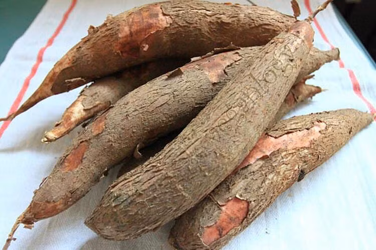 Ảnh minh họa Ảnh minh họa