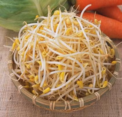 Có một loại rau ăn vào còn hại gan hơn uống rượu, có thể gây ra những tổn thương bất lợi, gây ung thư gan nhưng nhiều người không hề biết, đó là món rau giá đỗ không có rễ. Ảnh minh họa Có một loại rau ăn vào còn hại gan hơn uống rượu, có thể gây ra những tổn thương bất lợi, gây ung thư gan nhưng nhiều người không hề biết, đó là món rau giá đỗ không có rễ. Ảnh minh họa