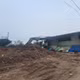 Tại hiện trường các loại máy móc, xe ba bánh phục vụ hoạt động của bãi tập kết vẫn chạy ầm ầm.