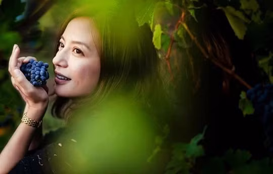 Trang trai nho dat gia cua Trieu Vy truoc khi ly hon-Hinh-3