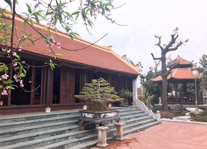 “Biet phu” go lim 1.000m2 dep hiem co o Nam Dinh-Hinh-9