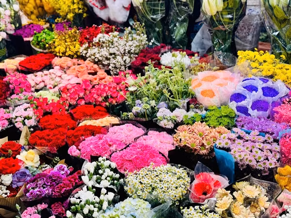 Hoa nhap khau gia re hut khach choi Tet 2025