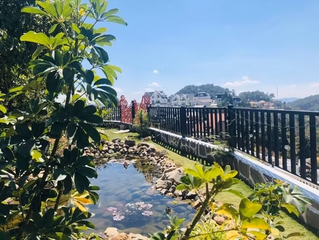 Can canh biet thu 1.000m2 cua nam ca si U50 van le bong-Hinh-7