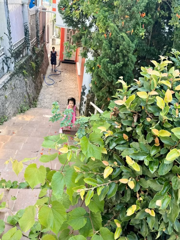 Co ngoi xanh muot cua Vy Oanh va chong dai gia o Da Lat-Hinh-10