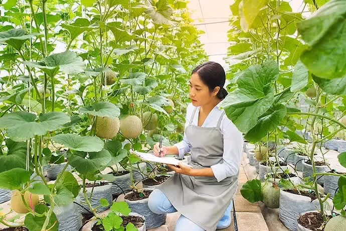 Cap dua luoi Nhat Ban vua ban gan nua ty co gi dac biet?-Hinh-9