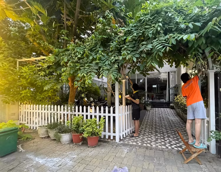 Can canh biet thu ngap sac xuan don Tet cua Than Thuy Ha
