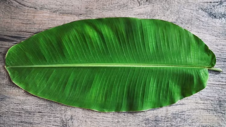 3 loai la bo di khong ai lay thanh hang xuat khau trieu do-Hinh-7