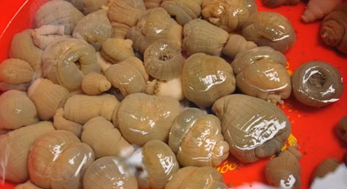 Muc so thi “than duoc quy ong” gia tien trieu van chay hang-Hinh-9