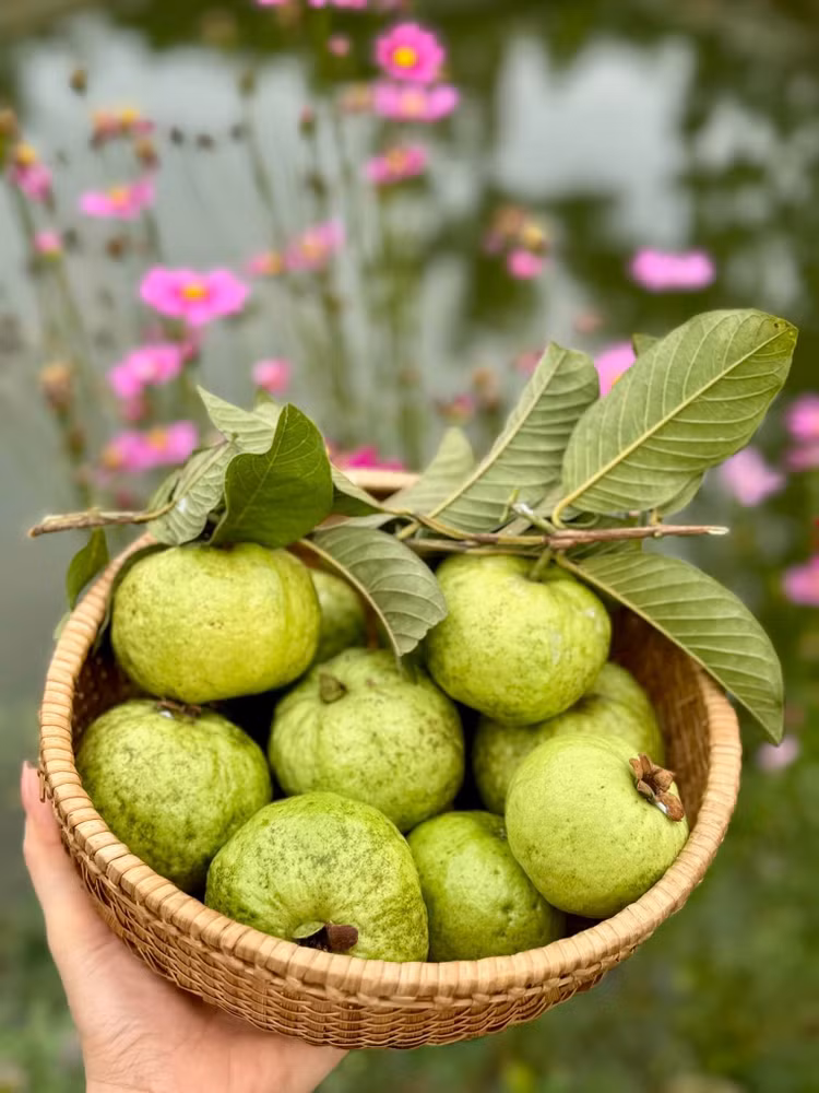 Xuyt xoa khu vuon “thang canh co bay” ngap hoa trai cua My Tam-Hinh-2