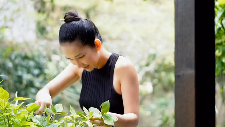 Co ngoi rong rai ngap rau trai cua “em gai Ha Tang” tai My-Hinh-2