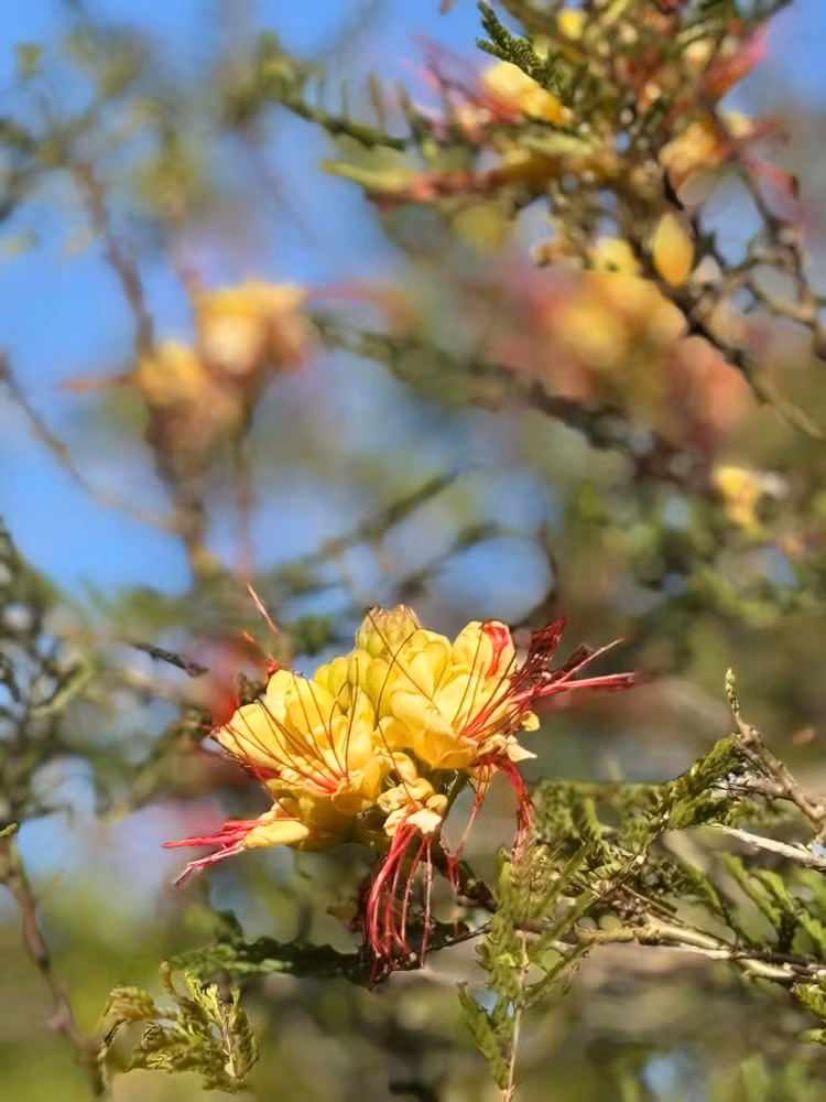 Co ngoi rong rai ngap rau trai cua “em gai Ha Tang” tai My-Hinh-9