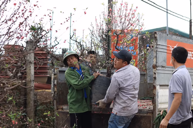 Nhung cong viec “hai ra tien” sau Tet Nguyen dan
