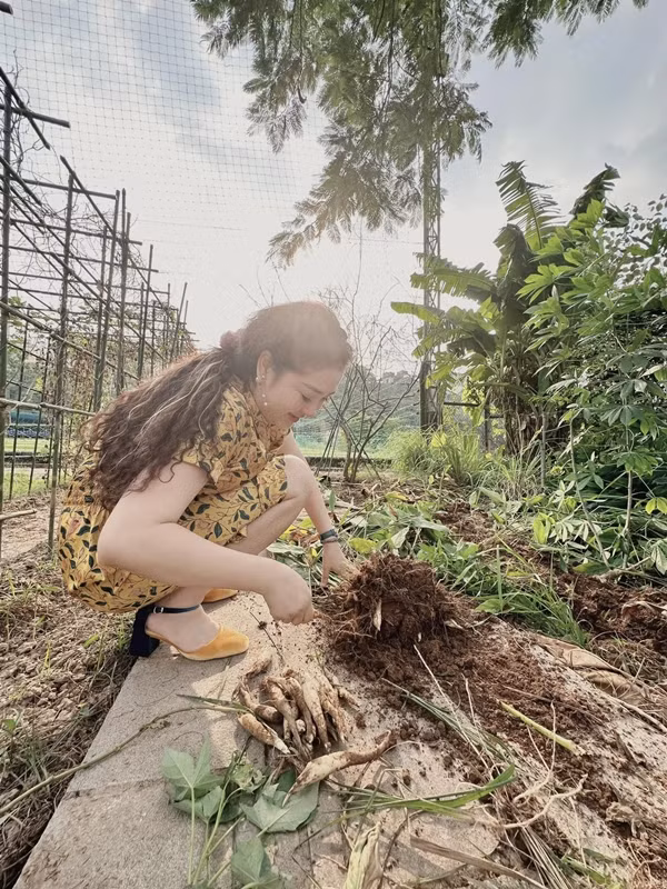 Biet thu ngap cay trai cua “Hoa hau bi an nhat Viet Nam“-Hinh-4