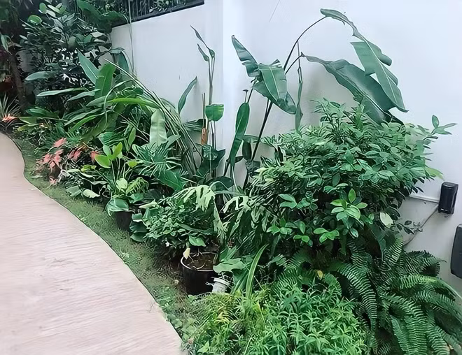 Biệt thự triệu đô xanh mướt ở ngoại thành của Lý Hải - Minh Hà - Hình 8 Biet thu trieu do xanh muot o ngoai thanh cua Ly Hai - Minh Ha-Hinh-8