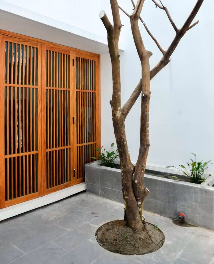 Nha trong hem lap lanh nhu chiec den long o Nha Trang-Hinh-9