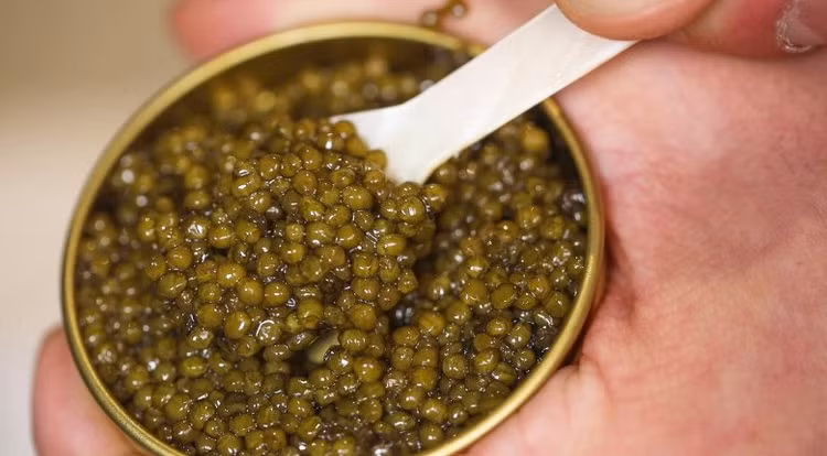 Ly do gi khien trung ca Caviar dat bac nhat hanh tinh?-Hinh-13