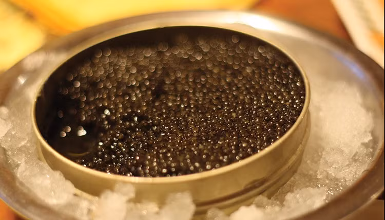 Ly do gi khien trung ca Caviar dat bac nhat hanh tinh?-Hinh-4