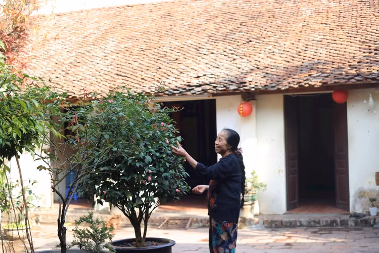 Ve dep cua ngoi nha co 200 tuoi “hiem co” giua Ha Noi-Hinh-2