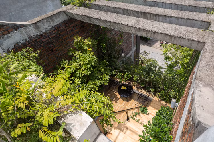 Bao My nuc no khen nha ong ngap cay xanh o Bac Ninh-Hinh-7
