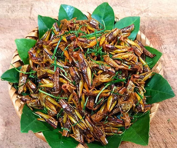 Loai con trung bay day dong gan trieu dong/kg khien nha giau “san lung“-Hinh-9