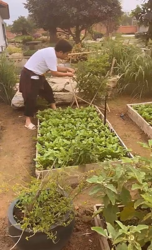 “Biet phu” nghin met vuong, tri gia 70 ty cua Truong Giang - Nha Phuong-Hinh-10