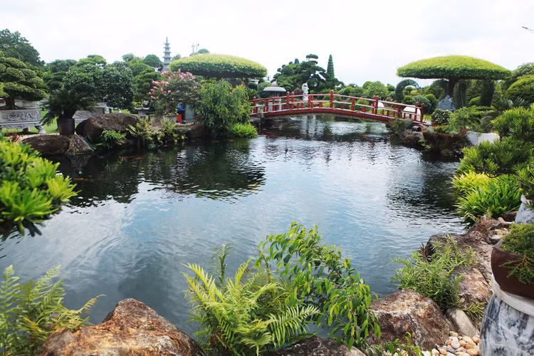Ho ca Koi 20 ty dep tung chi tiet cua dai gia Thai Nguyen-Hinh-3