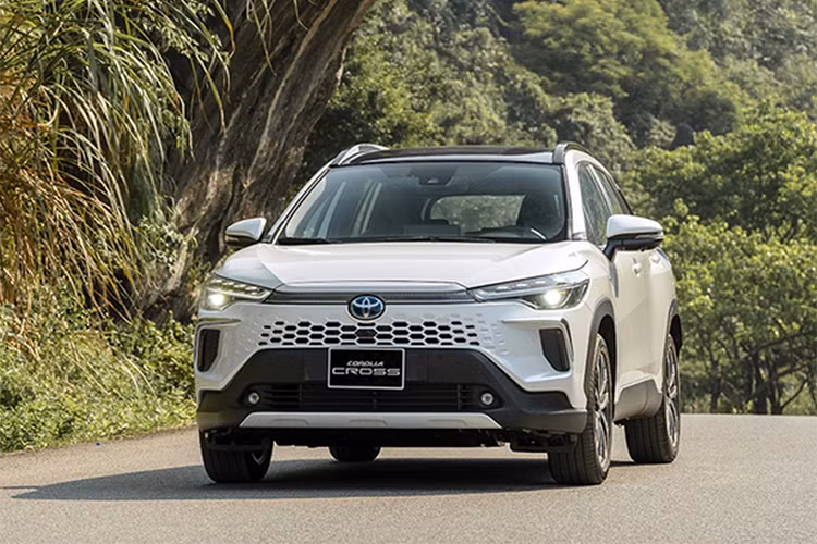 Diem mat loat oto hybrid chao san thi truong Viet nam 2024-Hinh-3