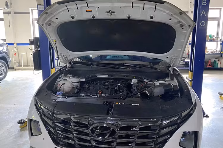 Những bê bối ôtô lỗi, hỏng tại Việt Nam năm 2023, từ Porsche đến Toyota - Hình 8 Nhung be boi oto loi, hong tai Viet Nam nam 2023, tu Porsche den Toyota-Hinh-8